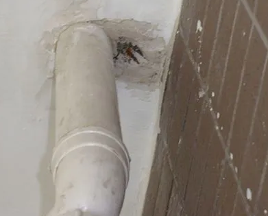 南平漏水检测哪家好